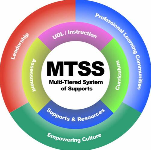 MTSS venn diagram